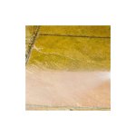 Nettoyant terrasse - 5 l - codeve bois - pour traiter une terrasse, pav�, carrelage, dalle, pierre ou ...