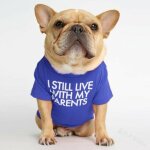 Aougo - t - shirt pour chien avec la phrase: je vis toujours chez mes parents (bleu, xl)