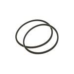 Apic - lot de 2 joints cuve pour valvofiltre
