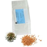Graines de trfle blanc 1kg