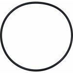 Aqualux - joint torique diamtre 180 mm de diamtre pour dome de filtre ard che (d 205 mm)
