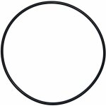 Aqualux - joint torique diamtre 200 mm de diamtre pour dome de filtre calpas ancien mod le (d 19