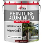 Arcane industries - peinture aluminium pour fen�tre, veranda et portail - 0. 5 l rouge brun - ral 3011 ...