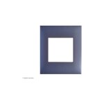 Plaque 1 poste espace evolution arnould finition: magnesium