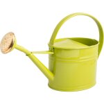 Arrosoir en acier galvanis� avec pomme 1. 75 litres