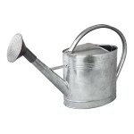 Arrosoir acier galvanisé avec pomme 13 litres Arrosoir acier galvanisé avec pomme 13 litres