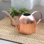 Arrosoir plante en acier inoxydable arrosoir jardin int�rieur m�tal arrosoir � longue bouche pot d'arrosage ...