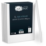 Artina - lot de 5 toile  peindre 280g / m akademie 80cm, 60cm