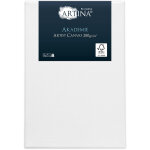 Ch�ssis entoil� - toile � peindre - akademie 50x40x1 cm - artina