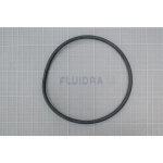 Joint torique pour couvercle de filtre  sable astralpool