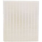 Atlantic - jeu 2 filtres rechange pour duolix type f7