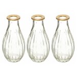 Lot de 3 soliflores 'wonderly' 14cm transparent