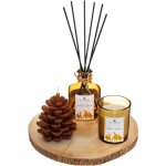 Atmosphera - coffret senteur wild d22cm crateur d'intrieur