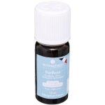 Huiles essentielles purifiante 10ml atmosphera crateur d'intrieur