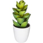 Plante succulente & cactus h18cm atmosphera cr�ateur d'int�rieur