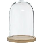 Atmosphera - cloche verre et bois h26cm cr�ateur d'int�rieur