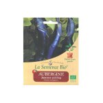 Graines bio - 20 graines aubergine japanese pickling - semence bio