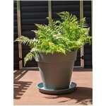 Riviera - jardini�re ronde soleilla - plastique - diam�tre 60 cm vert argile