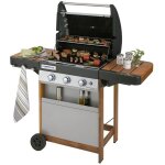 Barbecue � gaz 3 br�leurs woody - 9600w