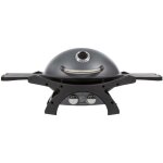 Barbecue  gaz portable 5200w grille de cuisson fonte maille 58 x 42. 5 cm 2 bruleurs pit boss