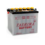 Batterie plomb 12v 24ah ? capacit� de d�marrage � froid 190a ? dimensions 184x124x175mm ? positive � ...