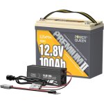 Batterie lithium 12v100ah 1280wh mini lifepo4 + 14, 6v 20a chargeur de batterie au lithium power queen(expdit ...