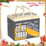 Batterie lithium 12v100ah 1280wh lifepo4 groupe24 power queen bluetooth, protection � les basses temp�ratures ...