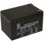 Rs pro - batterie au plomb tanche 12v 12ah cyclique ( prix pour 1 )