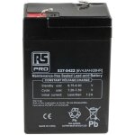 Rs pro - batterie au plomb �tanche 6v 4ah cyclique ( prix pour 1 )