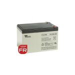 Batterie y12 - 12fr yuasa yucel / yuvolt - agm - 12v - 12. 0ah