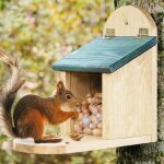 Mangeoire cureuil distributeur de nourriture xtrieur robuste en bois massif et vitre plexiglas de ...