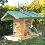 Mangeoire extérieur à suspendre pour oiseaux sauvages pour jardin balcon distributeur de graines «325 ... Mangeoire extérieur à suspendre pour oiseaux sauvages pour jardin balcon distributeur de graines «325 ...