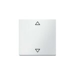 Bouton - poussoir avec marquage symbole 16206079 lime p q. 1 plaque de recouvrement pour interrupteur ...