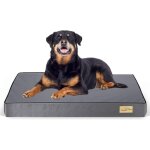 Coussin grand chien dhoussable: panier pour chien orthopdique grande taille tapis pour chiens lavable ...