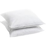 Bleu calin - lot de 2 oreillers sensation duvet - 60x60cm