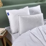 Bleu calin - oreiller sensation duvet premium 60x60cm