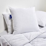 Bleu calin - oreiller sensation duvet - 60x60cm