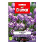 Graines dwarf violet alyssum en enveloppe