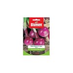 Graines d'oignon rouge doux de tropea blumen