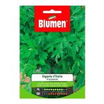 Graines de persil italien g�ant dans une enveloppe