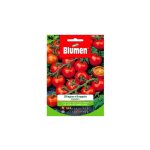 Grappe de graines de tomates cerises pachino