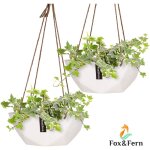 Fox & fern suspension plantes d'intrieur, jardiniere suspendue, suspension plante interieur, porte plante ...