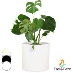 Blumfeldt - jardinire en fibre de pierre pour intrieur / extrieur