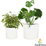 Blumfeldt - pot de fleurs gendt cache - pot lot de 2 tailles l / xl ciment fibre de verre intrieur / ...