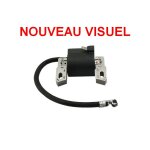 Bobine allumage briggs et stratton moteur quantum 5 et 6. 75cv