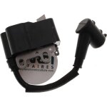 Bobine d'allumage compatible avec echo remplace a411000141