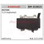 Bobine d'allumage kawasaki pour moteurs de taille - haie tj 23 019815 Bobine d'allumage kawasaki pour moteurs de taille - haie tj 23 019815