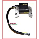 Bobine d'allumage tondeuse série 500 550 ohv 799582 briggs & stratton 310086 Bobine d'allumage tondeuse série 500 550 ohv 799582 briggs & stratton 310086