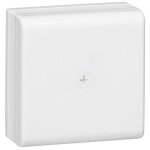 Legrand - bote de drivation saillie 110x110x50mm pour moulure dlplus blanc 030326
