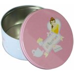 Boite disney princesses mod�le moyen